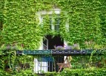 Green Walls Landscaping Solutions