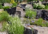 Rockeries Landscaping Solutions
